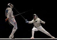 Fencing commercial