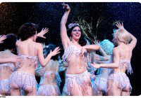 Dance auditions in Dancers, Aerialists, Theatre and Burlesque Artists