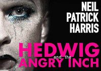 Hedwig performer wanted