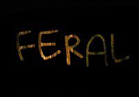 "Feral" movie Philly