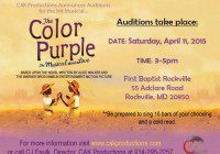 DC auditions for The Color Purplr