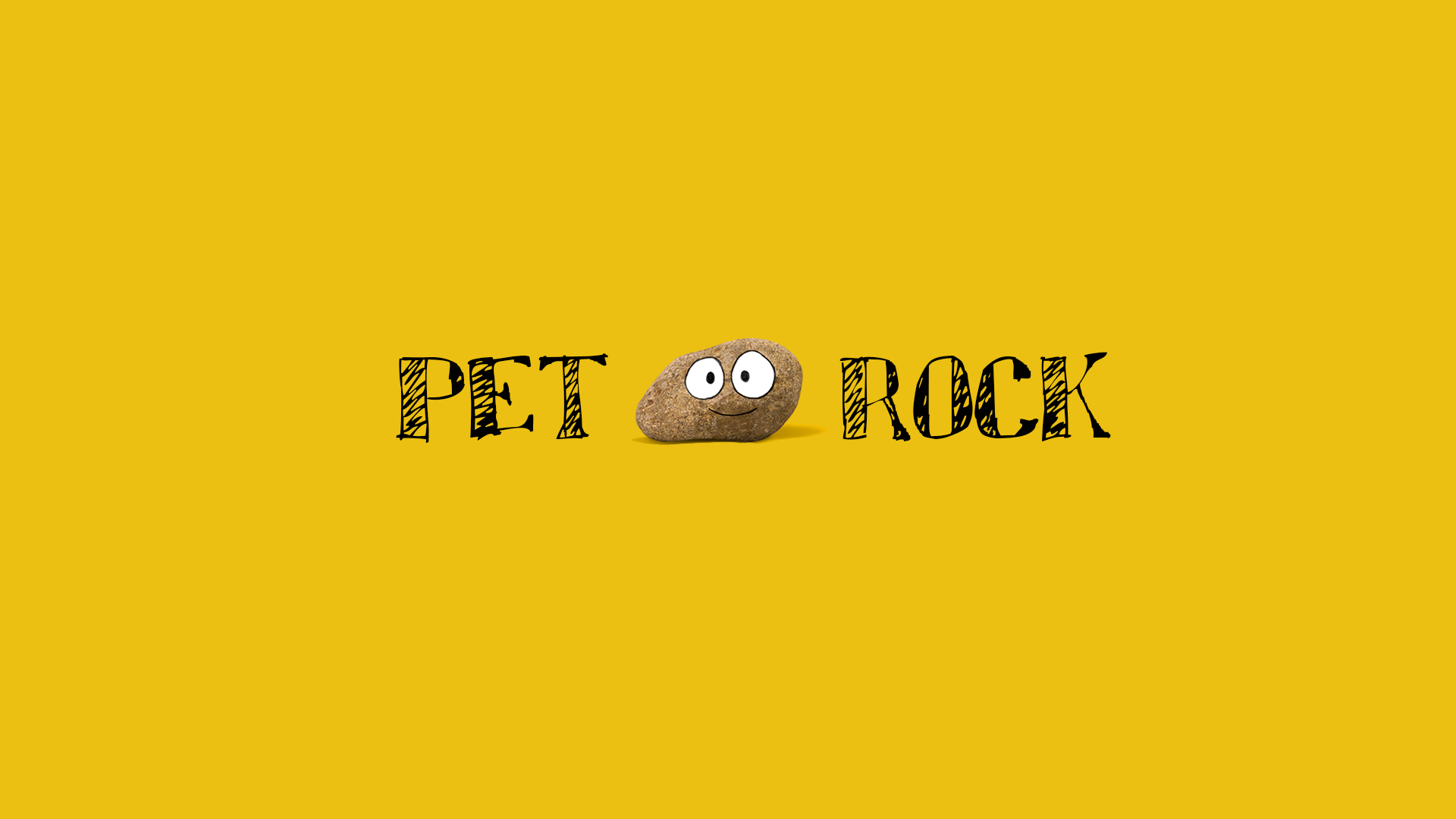 Pet Rock movie auditions in Brisbane