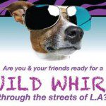 Major Cable Network TV Pilot Casting Groups of Animal Lovers in Los Angeles