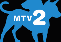 MTV2 Cast call in L.A.