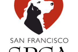 SF Bay SPCA