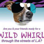 New Cable Network Show Casting Animal Lovers in Los Angeles