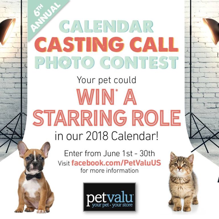 Pet Modeling, Online Auditions for Dogs, Cats and Pets on East Coast