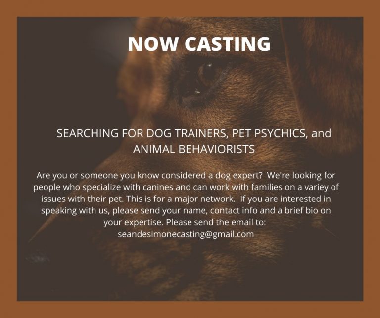 Casting Call for Dog Trainers and Animal Behaviorists for Network Show